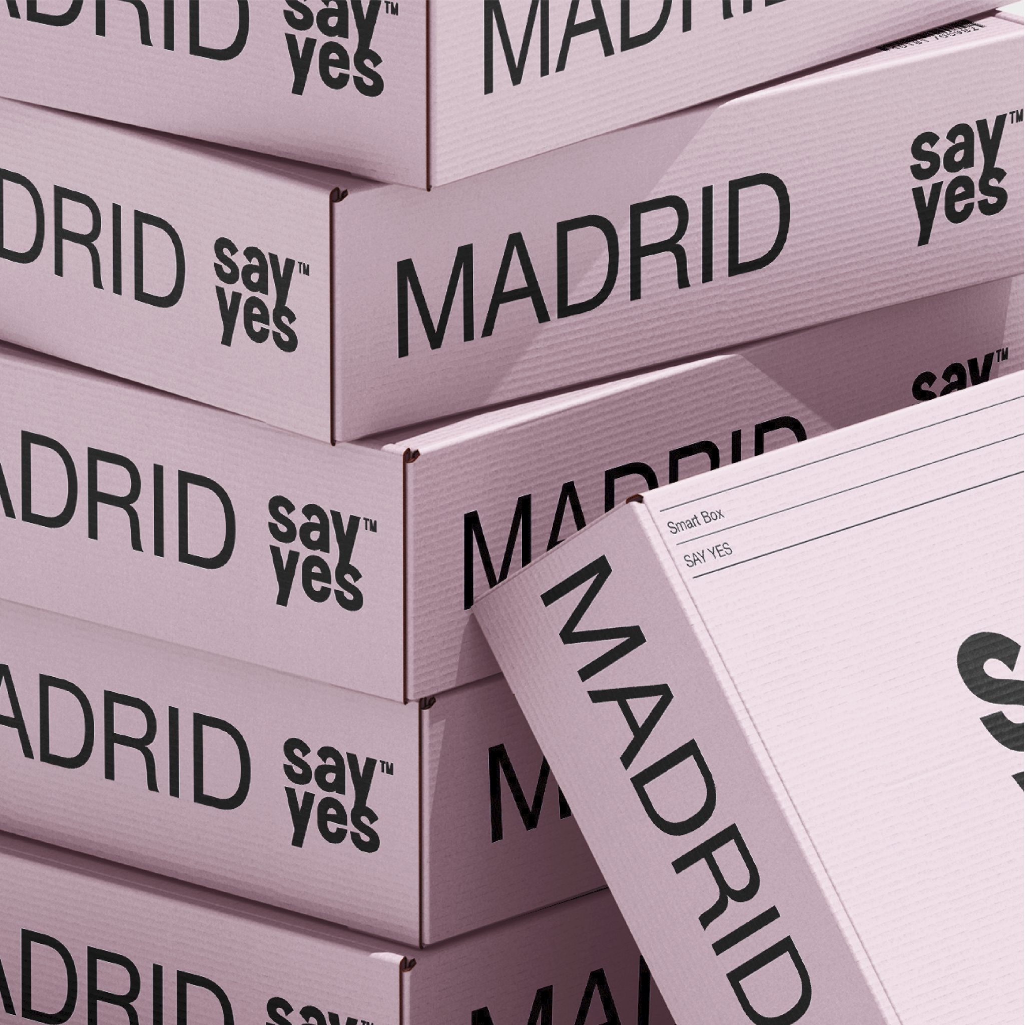 identidad visual corporativa - diseño de packaging